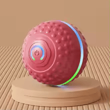 INTERACTIVE DOG BALL