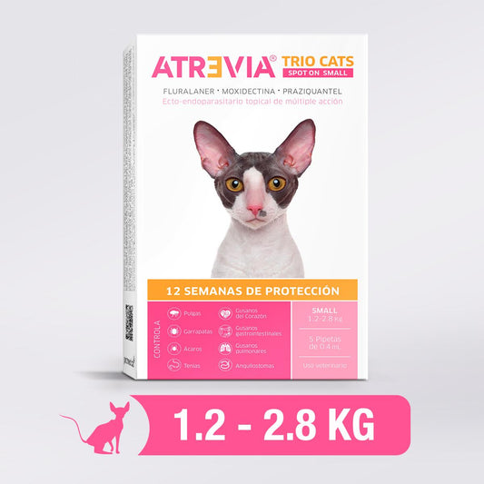 Atrevia Trio cats Pipette