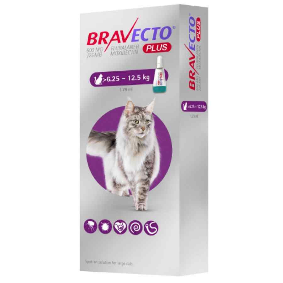 Antipulgas para Gatos Bravecto