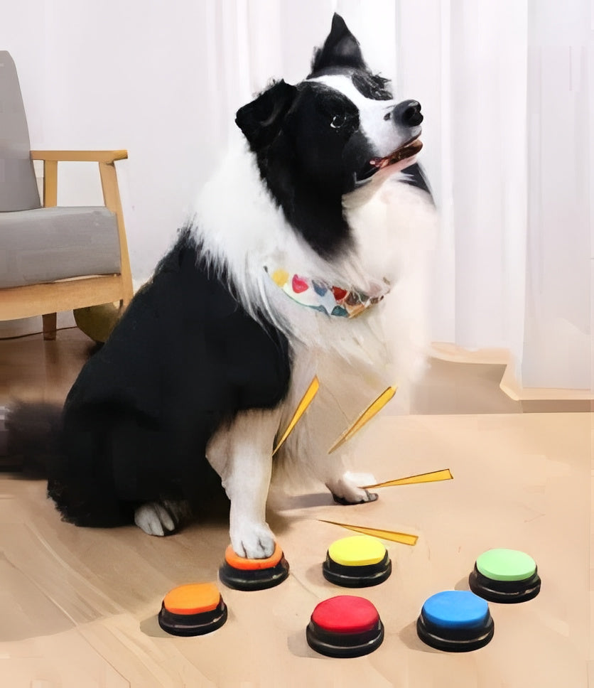 Botones de comunicación para perros