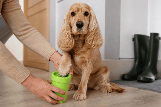 Limpiador de pata para perro y gato, accesorios de limpieza para patas de silicona suave