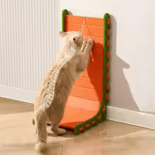 RASCADOR PARA GATO CON PELOTA