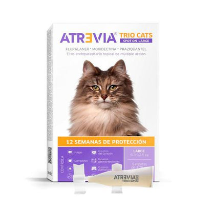 Atrevia Trio cats Pipette