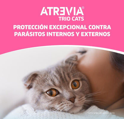Atrevia Trio cats Pipette