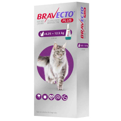 Antipulgas para Gatos Bravecto