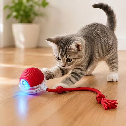 SMART AUTOMATIC BALL