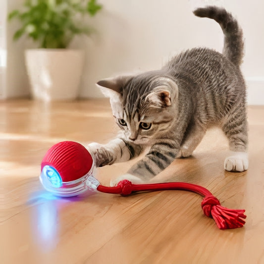 PELOTA AUTOMATICA INTELIGENTE
