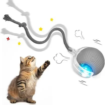 SMART AUTOMATIC BALL