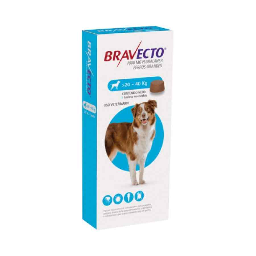 Bravecto®: Protección Total Contra Pulgas y Garrapatas 🐶🛡️