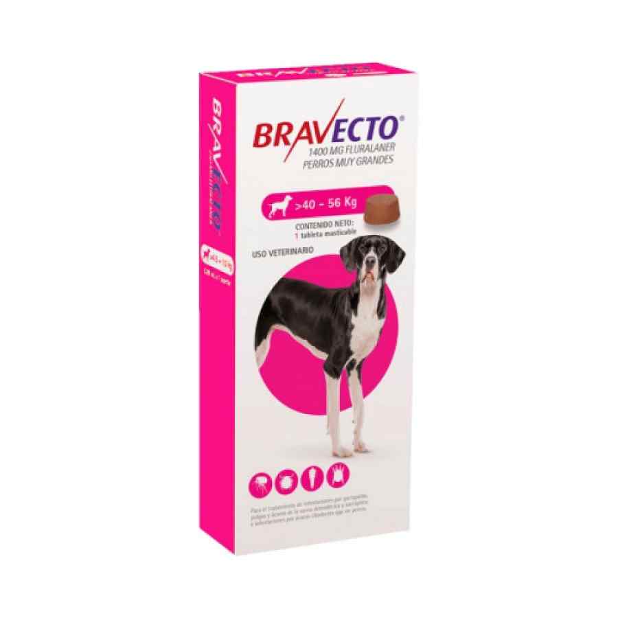 Bravecto®: Protección Total Contra Pulgas y Garrapatas 🐶🛡️