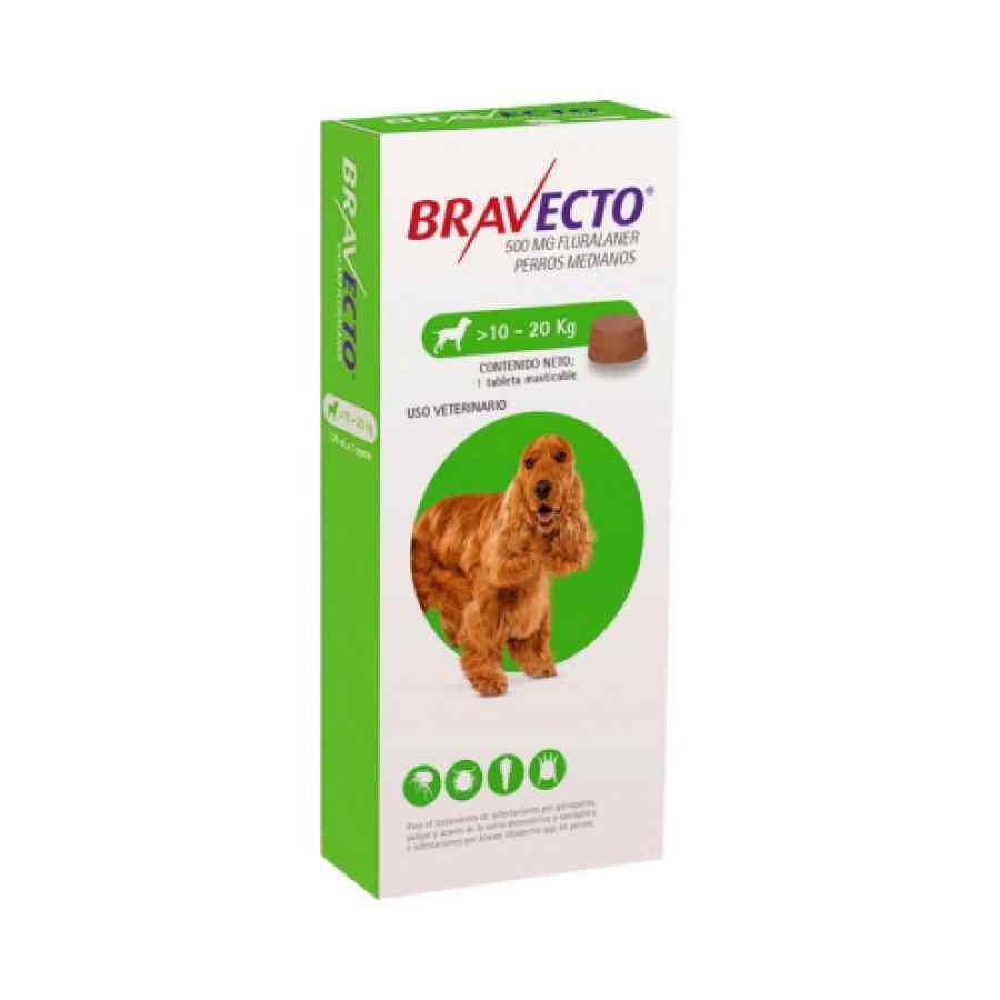 Bravecto®: Protección Total Contra Pulgas y Garrapatas 🐶🛡️